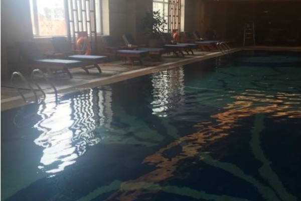 成都成华喝茶街：邂逅慢生活，共享茶艺时光